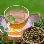 Moringa – 10 Seeds